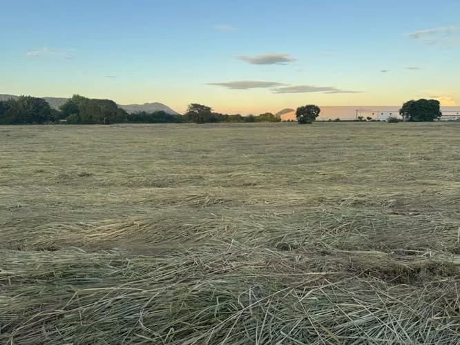 Venta de Terreno en Carretera Nueva a Leon  - Imagen 11