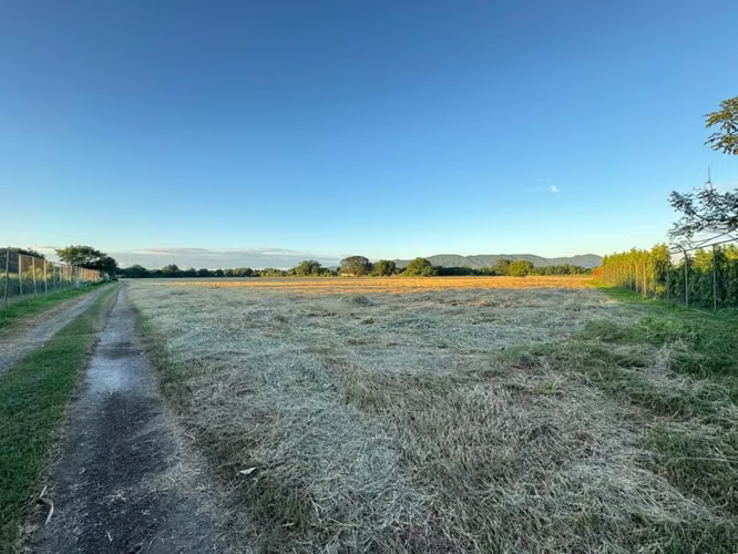 Venta de Terreno en Carretera Nueva a Leon  - Imagen 2