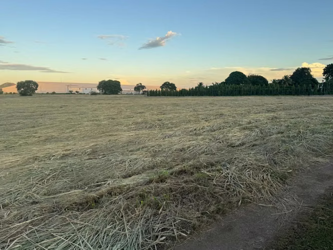 Venta de Terreno en Carretera Nueva a Leon  - Imagen 10