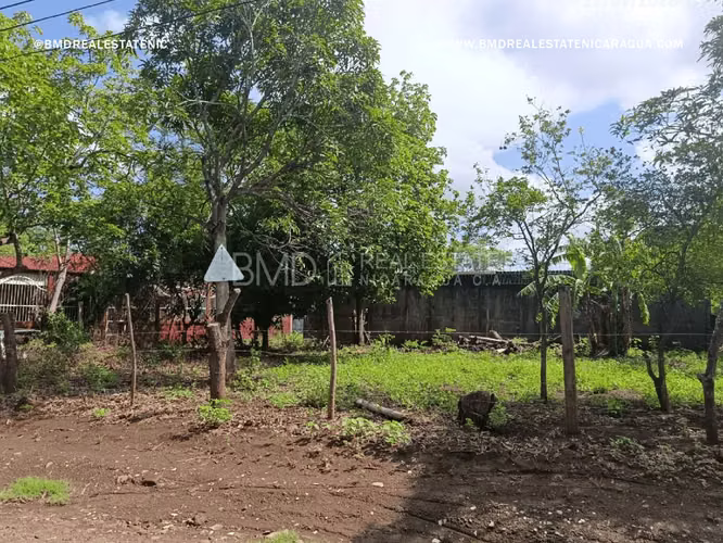 Excelente oportunidad de inversión en Nindiri 5382 - Imagen 4
