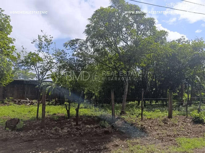 Excelente oportunidad de inversión en Nindiri 5382 - Imagen 6