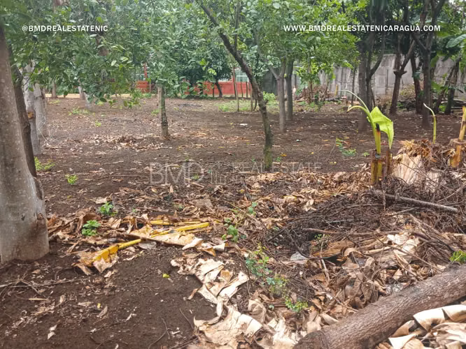 Excelente oportunidad de inversión en Nindiri 5382 - Imagen 8