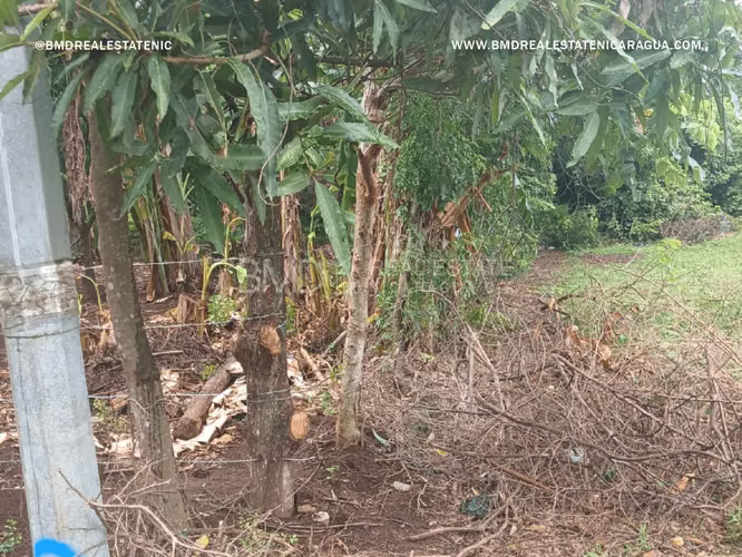 Excelente oportunidad de inversión en Nindiri 5382 - Imagen 10