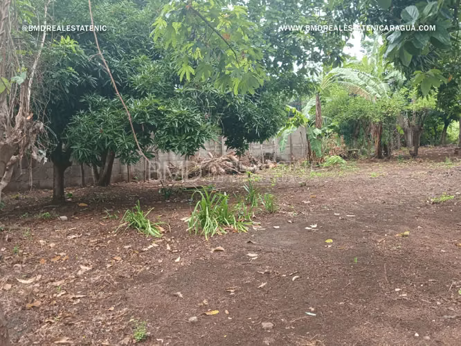 Excelente oportunidad de inversión en Nindiri 5382 - Imagen 7