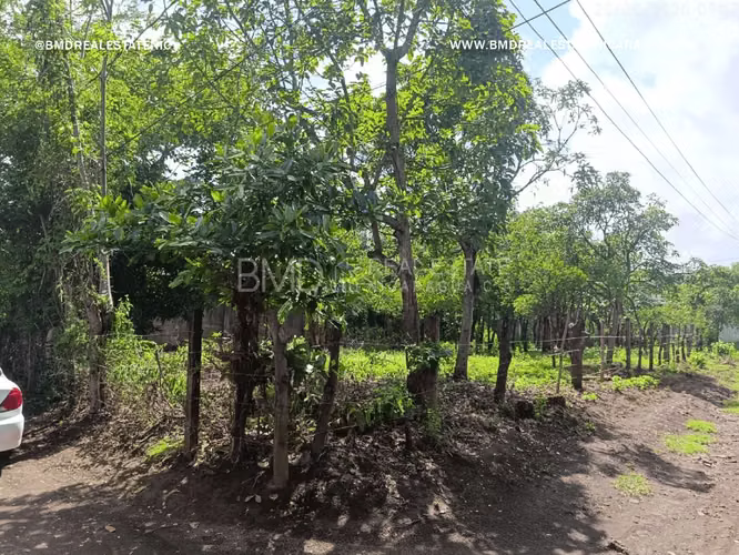 Excelente oportunidad de inversión en Nindiri 5382 - Imagen 3