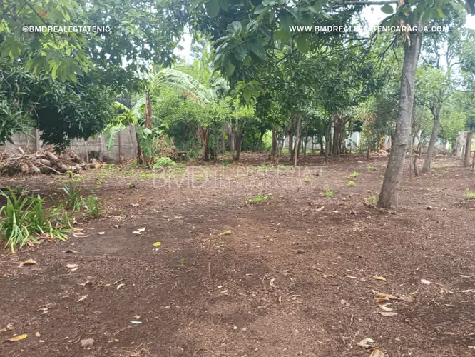 Excelente oportunidad de inversión en Nindiri 5382 - Imagen 9