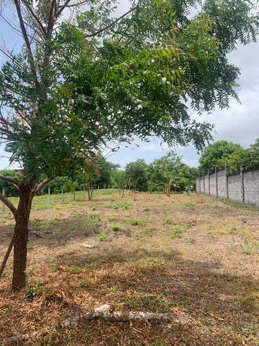 EB-Vendo terreno en Veracruz - Imagen 4