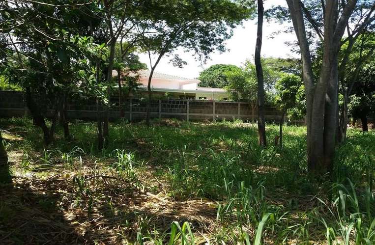  ¡Amplio Terreno en Venta en el Km 10.5 Carretera a Masaya!  - Imagen 4