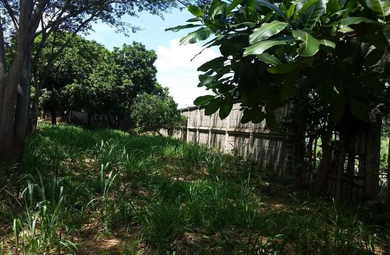  ¡Amplio Terreno en Venta en el Km 10.5 Carretera a Masaya!  - Imagen 3