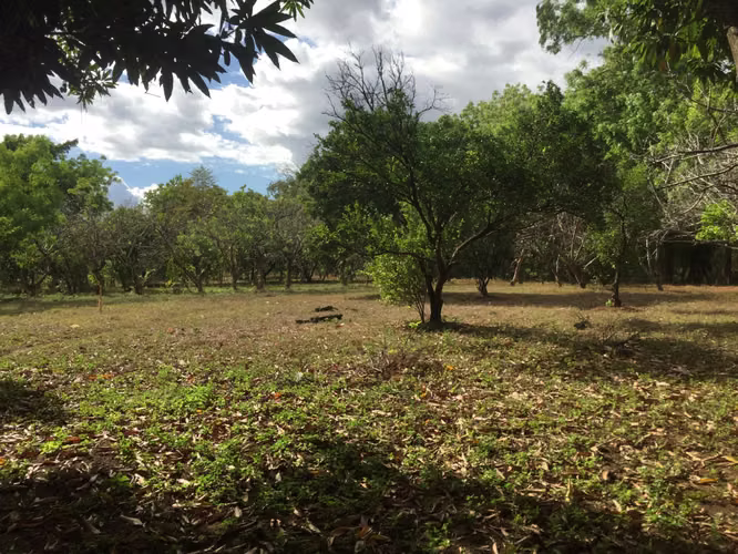 Venta de Casa en Veracruz  - Imagen 13