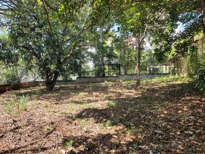 ¡EN VENTA! Terreno esquinero en Carretera Masaya km 16.8 - Imagen 10