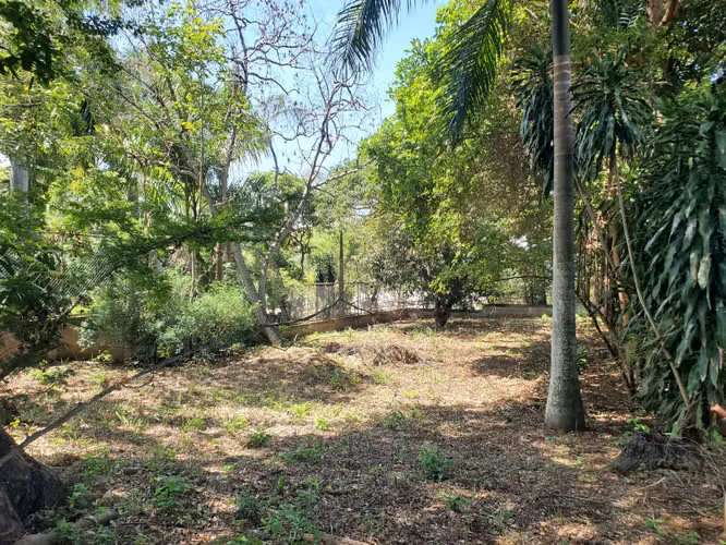 ¡EN VENTA! Terreno esquinero en Carretera Masaya km 16.8 - Imagen 12
