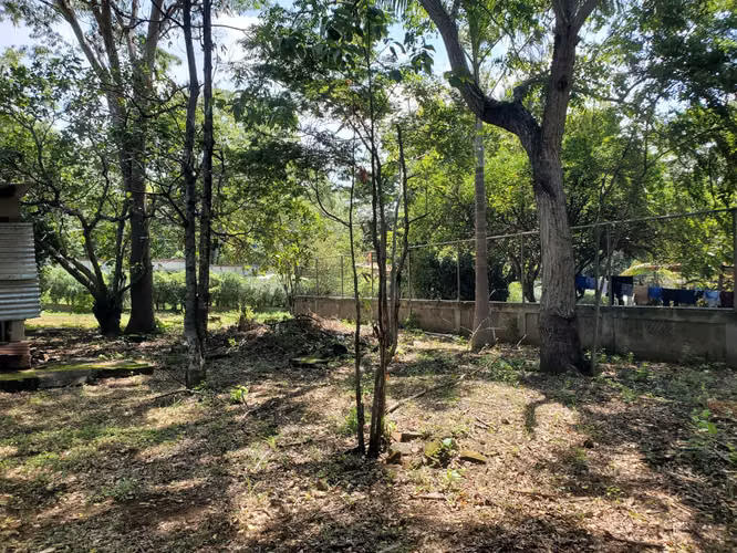 ¡EN VENTA! Terreno esquinero en Carretera Masaya km 16.8 - Imagen 3