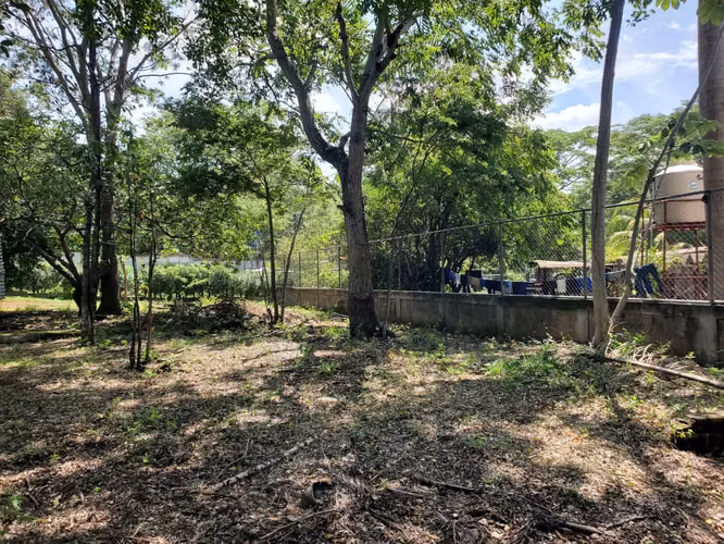 ¡EN VENTA! Terreno esquinero en Carretera Masaya km 16.8 - Imagen 7