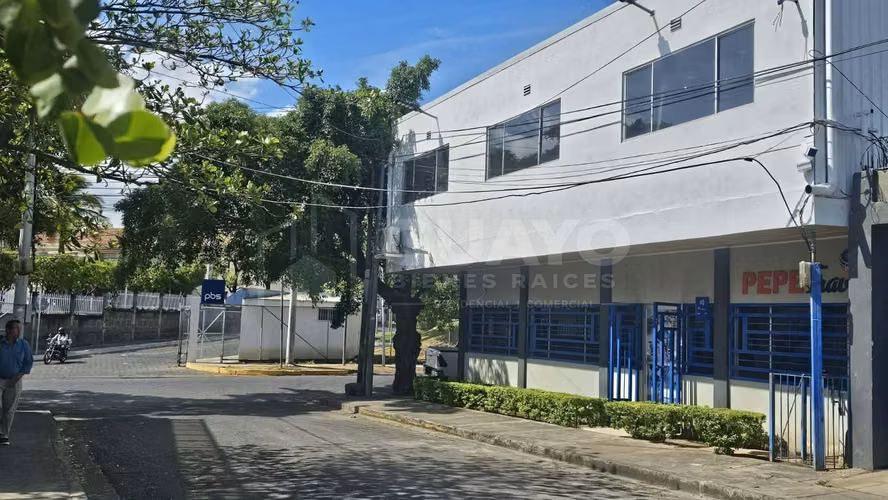 Módulo Comercial en alquiler en Bolonia