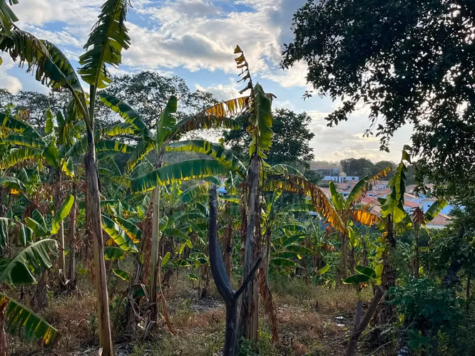 Terreno en venta en Santo Domingo - Imagen 2