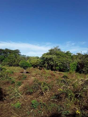Lot for sale in Leon