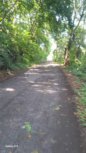 TERRENO EN VENTA A ORILLAS DEL LAGO COCIBOLCA – GRANADA - Imagen 3