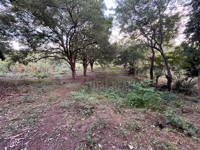 TERRENO EN VENTA | CARRETERA MASAYA KM 10.5 – SAN ANTONIO SUR