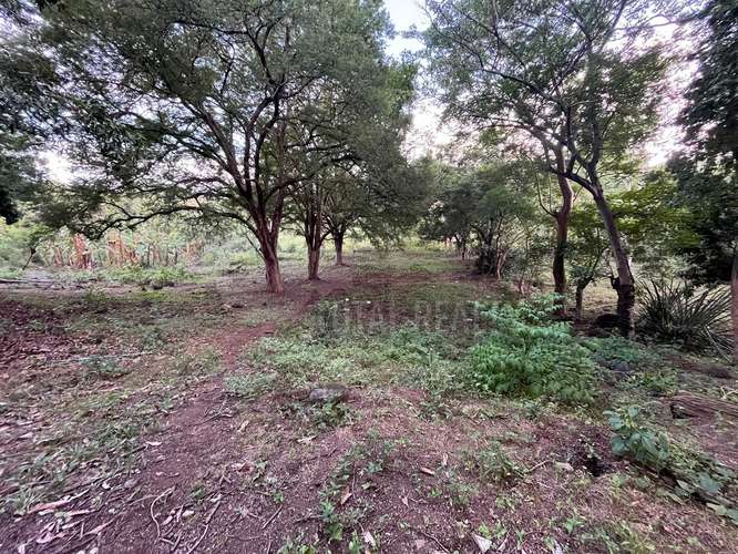 TERRENO EN VENTA | CARRETERA MASAYA KM 10.5 – SAN ANTONIO SUR