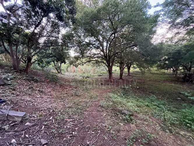 TERRENO EN VENTA | CARRETERA MASAYA KM 10.5 – SAN ANTONIO SUR - Imagen 4