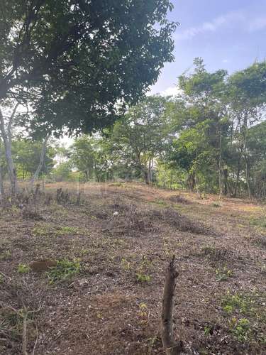 Terreno en venta en Masaya