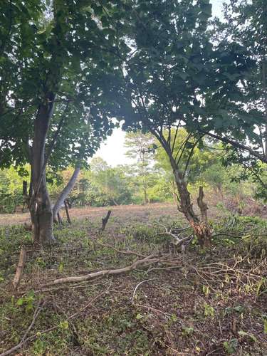 Terreno en venta en Masaya