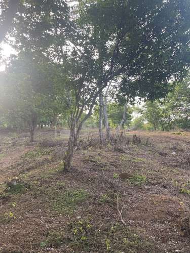 Terreno en venta en Masaya