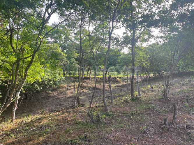 Terreno en venta en Masaya