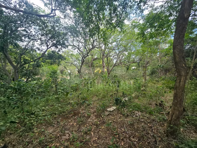 Terreno en venta en El Rodeo, Santo Domingo - Imagen 12