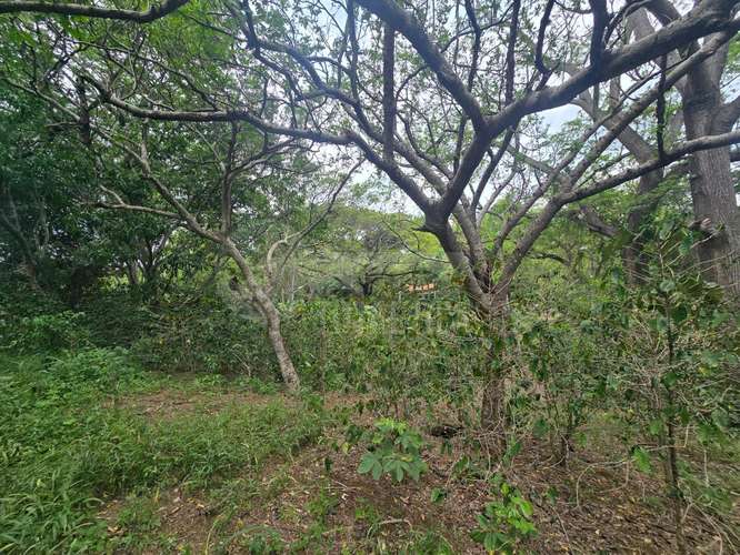 Terreno en venta en El Rodeo, Santo Domingo