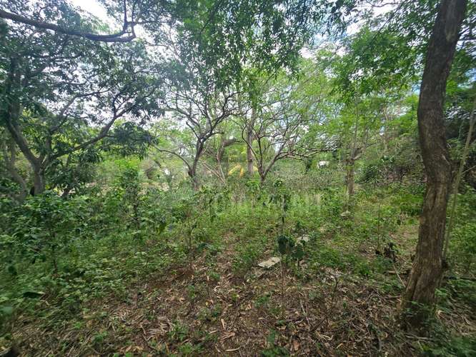 Terreno en venta en El Rodeo, Santo Domingo