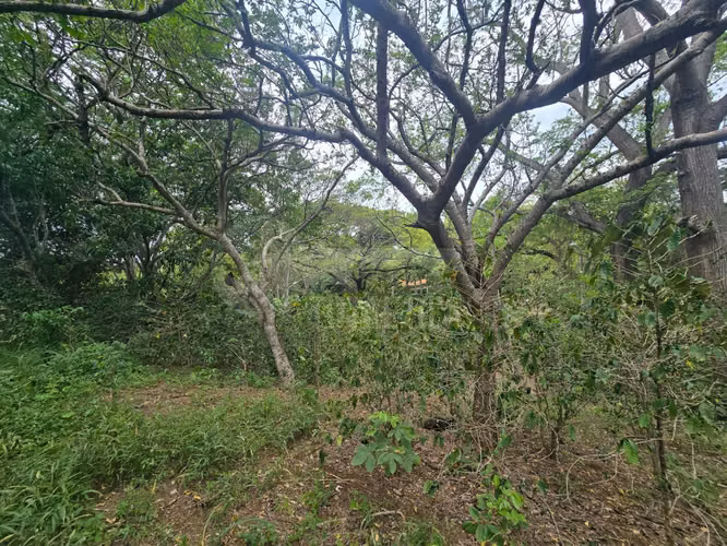 Terreno en venta en El Rodeo, Santo Domingo