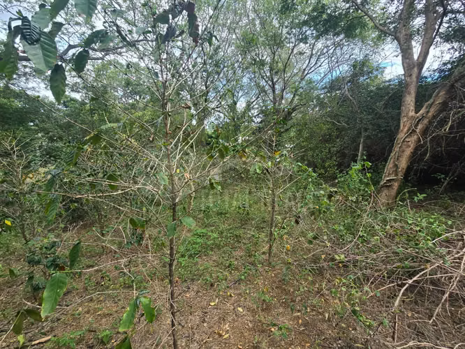 Terreno en venta en El Rodeo, Santo Domingo - Imagen 9