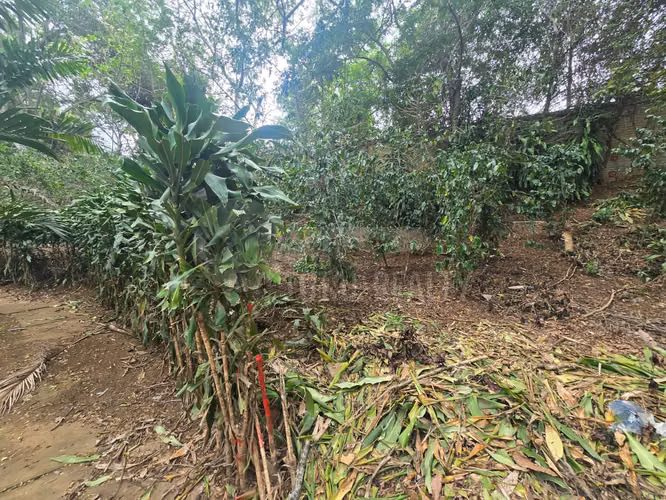 Terreno en venta en El Rodeo, Santo Domingo - Imagen 7