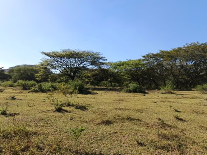 Venta de Finca en Nagarote  - Imagen 3