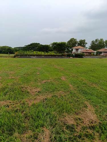 New Listing ¡¡¡   MILA Lot  for Sale at Gran Pacifica Resort - Imagen 3