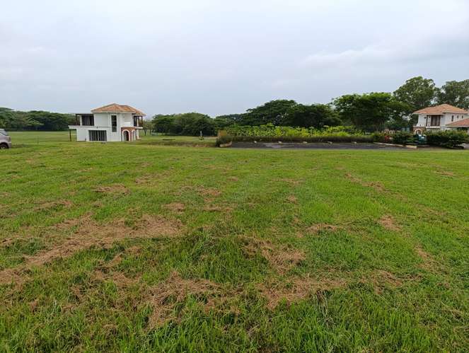 New Listing ¡¡¡   MILA Lot  for Sale at Gran Pacifica Resort - Imagen 7