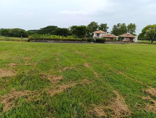 New Listing ¡¡¡   MILA Lot  for Sale at Gran Pacifica Resort - Imagen 8