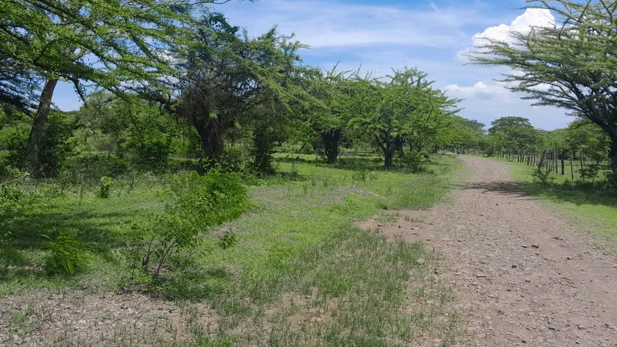 Finca ganadera