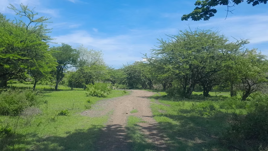 Finca ganadera