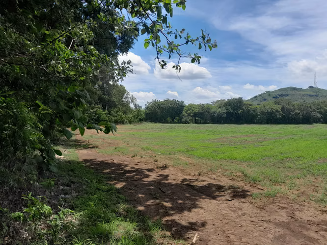 Finca ganadera