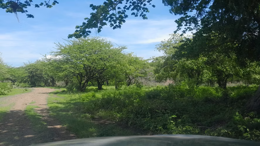 Finca ganadera