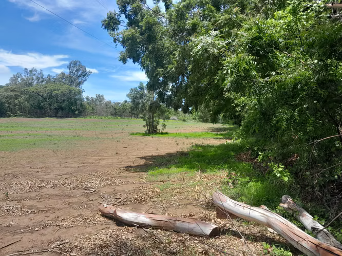 Finca ganadera