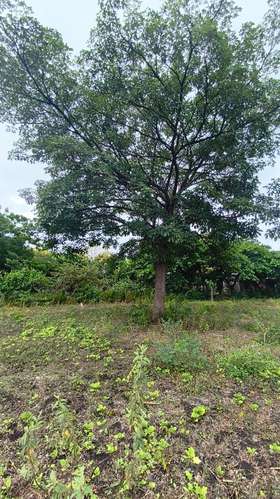 Terreno en venta - Imagen 7