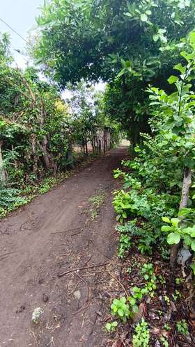 Terreno en venta - Imagen 5