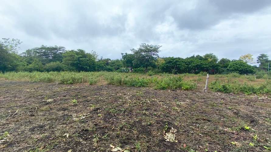 Terreno en venta - Imagen 2