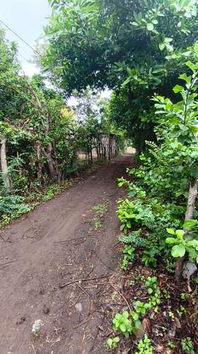 Terreno en venta - Imagen 6
