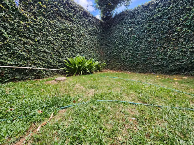 APARTAMENTO EN RENTA | LAS COLINAS, MANAGUA - Imagen 15