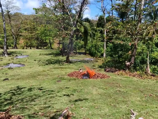 TERRENO EN VENTA – ISLA DE MAÍZ  - Imagen 2